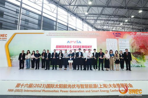 雙良2023SNEC光伏展圓滿落幕，連獲三項大獎?wù)蔑@科技實力
