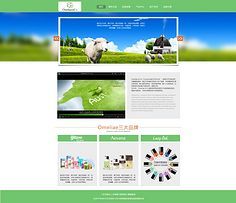 網(wǎng)頁(yè)與網(wǎng)站設(shè)計(jì) 打造卓越用戶(hù)體驗(yàn)的關(guān)鍵要素